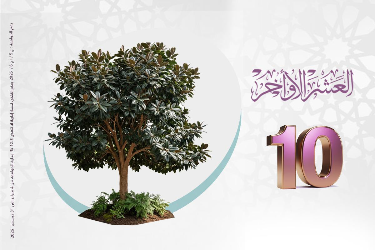 وقف أشجار المطاط بكمبوديا